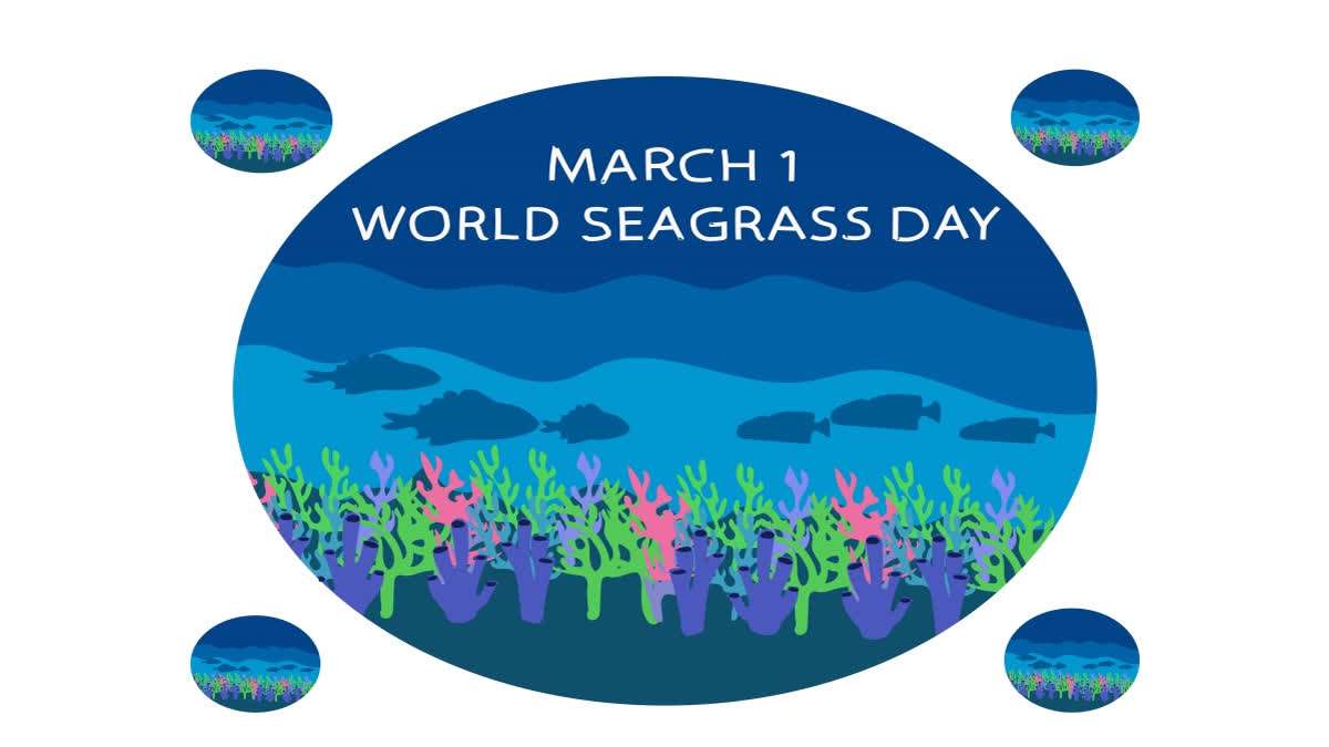 The World Seagrass Day is observed on March 1