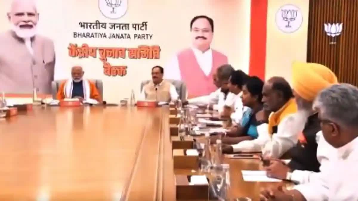 BJP CEC Meeting