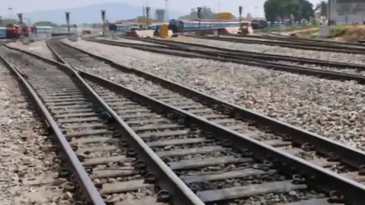 Morena cows died railway track