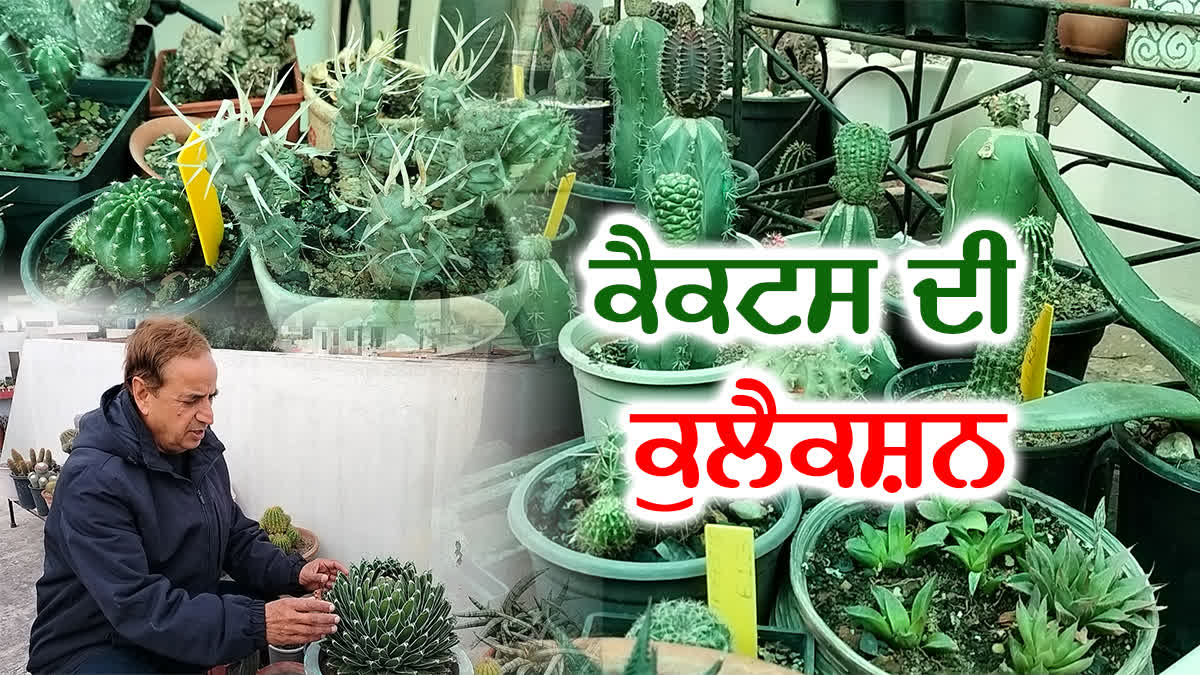 Cactus Lover, Cactus Lover Doctor Harbhajan Das, Ludhiana