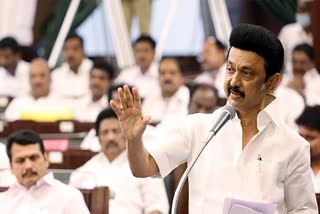 MK Stalin  DMK  Loksabha Election 2024  എം കെ സ്റ്റാലിന്‍  ഇന്ത്യ സഖ്യം