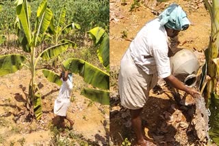 കോട്ടയം  ഡ്രിപ് ഇറിഗേഷൻ പദ്ധതി  Drip Irrigation Project Stopped  farmers crisis