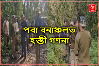 পবা সংৰক্ষিত বনাঞ্চলত হস্তী গণনা কাৰ্যসূচী সম্পন্ন