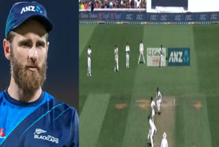 New Zealand batsman got captain Kane Williamson out, see this amazing sight