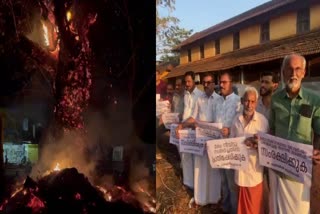 Tree set on fire in Bovikanam  Protest against Tree Set On Fire  തണൽ മരത്തിനു തീയിട്ടു  മരത്തിനു തീയിട്ടതില്‍ പ്രതിഷേധം