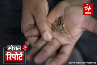 Etv Bharat chewing-tobacco-is-more-dangerous-than-smoking-says-snmc-s-research-on-cancer