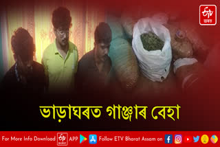 Huge quantity of ganja seized in Hatigaon