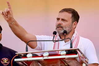 Rahul gandhi, File Image