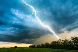Six people were killed due to lightning in separate incidents in Rajasthan's Sawai Madhopur, officials said on Friday. Many areas of Rajasthan received rain and thunderstorms due to the impact of a new western disturbance, they said.