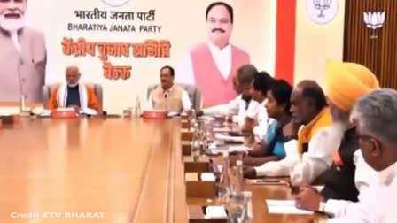 BJP CEC Meeting