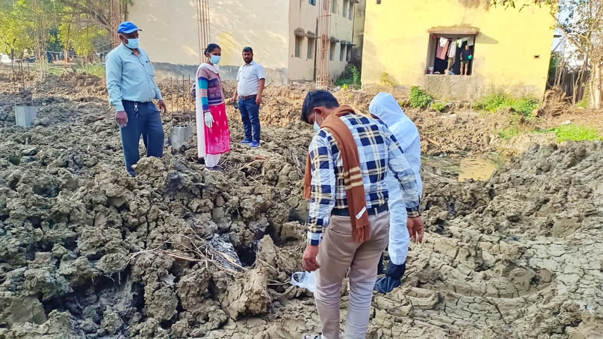 Bird Flu Fear In Bihar's Jehanabad After A Dozen Crows Found Dead