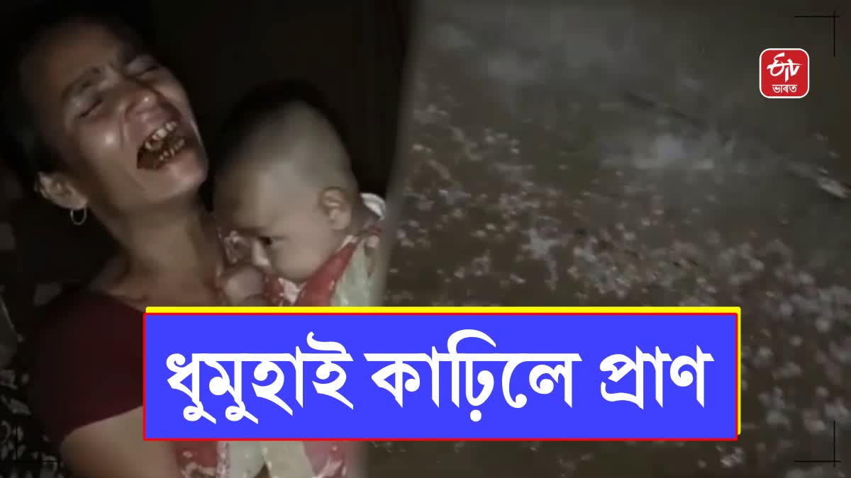 mother of a 4 month old child died after a huge tree fell on her house in cachar