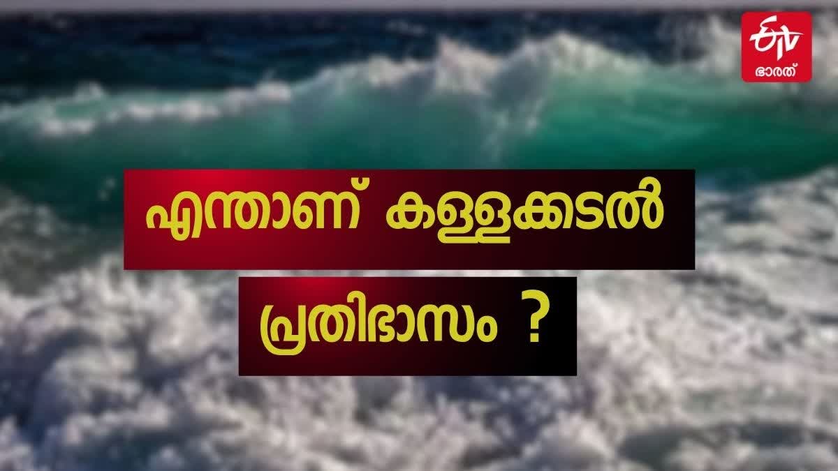 SEA ATTACK IN KERALA  DR K V THOMAS  BLACK SEA PHENOMENON IN KERALA  UNEXPECTED TIDES