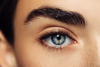 Tips For Eyelashes Growth