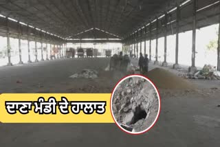 Ludhiana Dana Mandi Situation