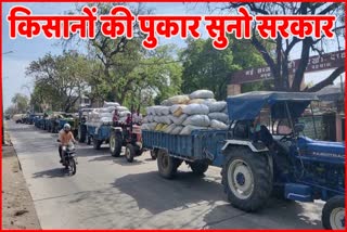 Mustard Purchase in Charkhi Dadri