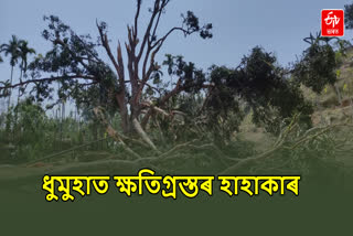 Garbhanga Reserve Forest