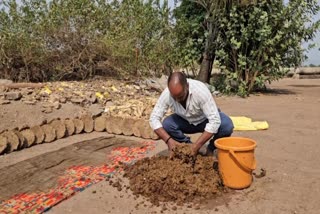 cow dung cake trade