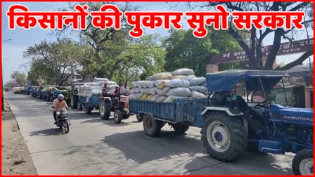 Mustard Purchase in Charkhi Dadri