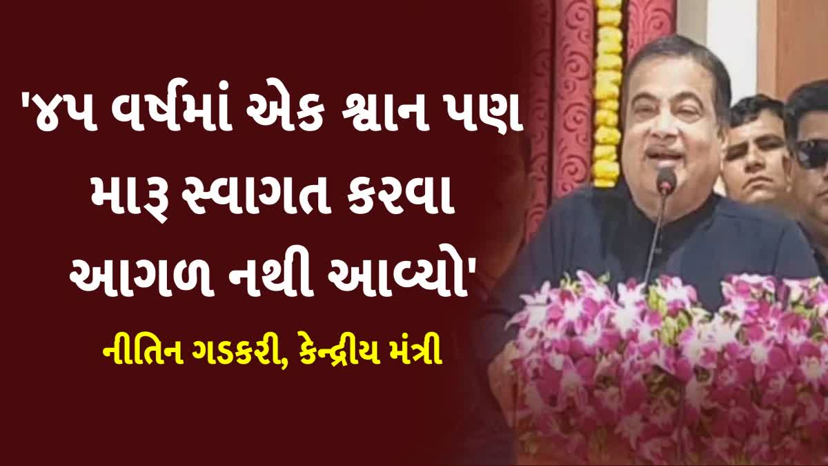 કેન્દ્રીય મંત્રી નીતિન ગડકરી