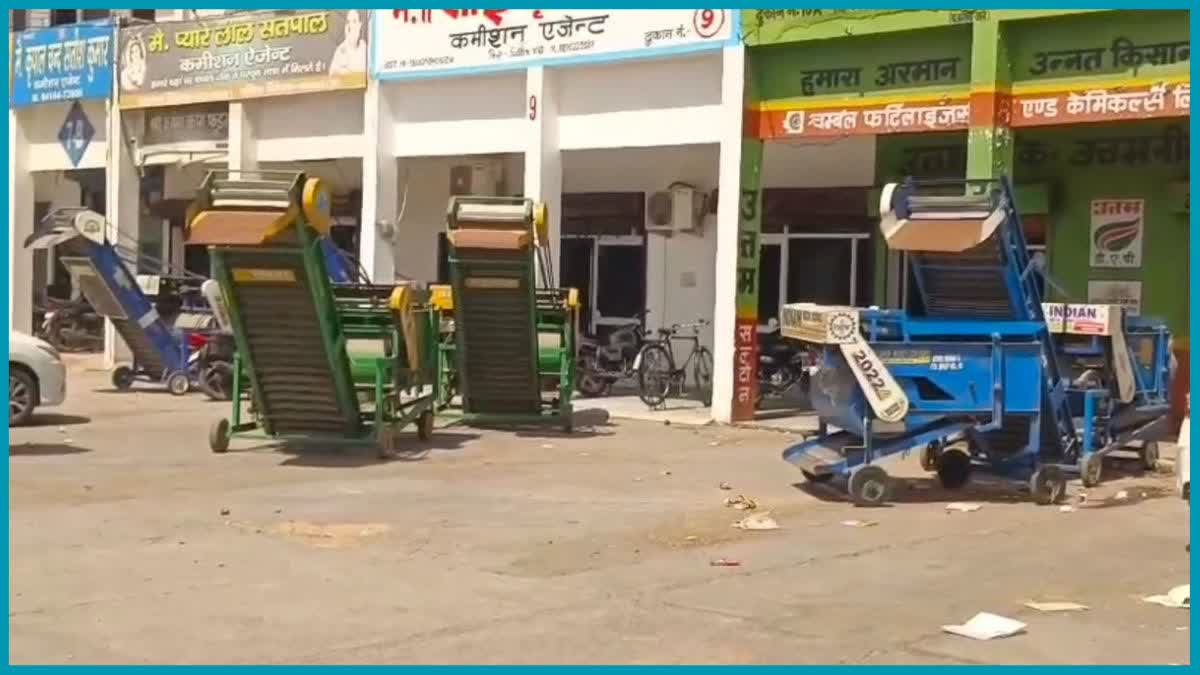 WHEAT PURCHASE IN HARYANA