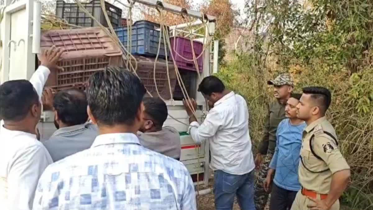 Inter state ganja smuggler arrested