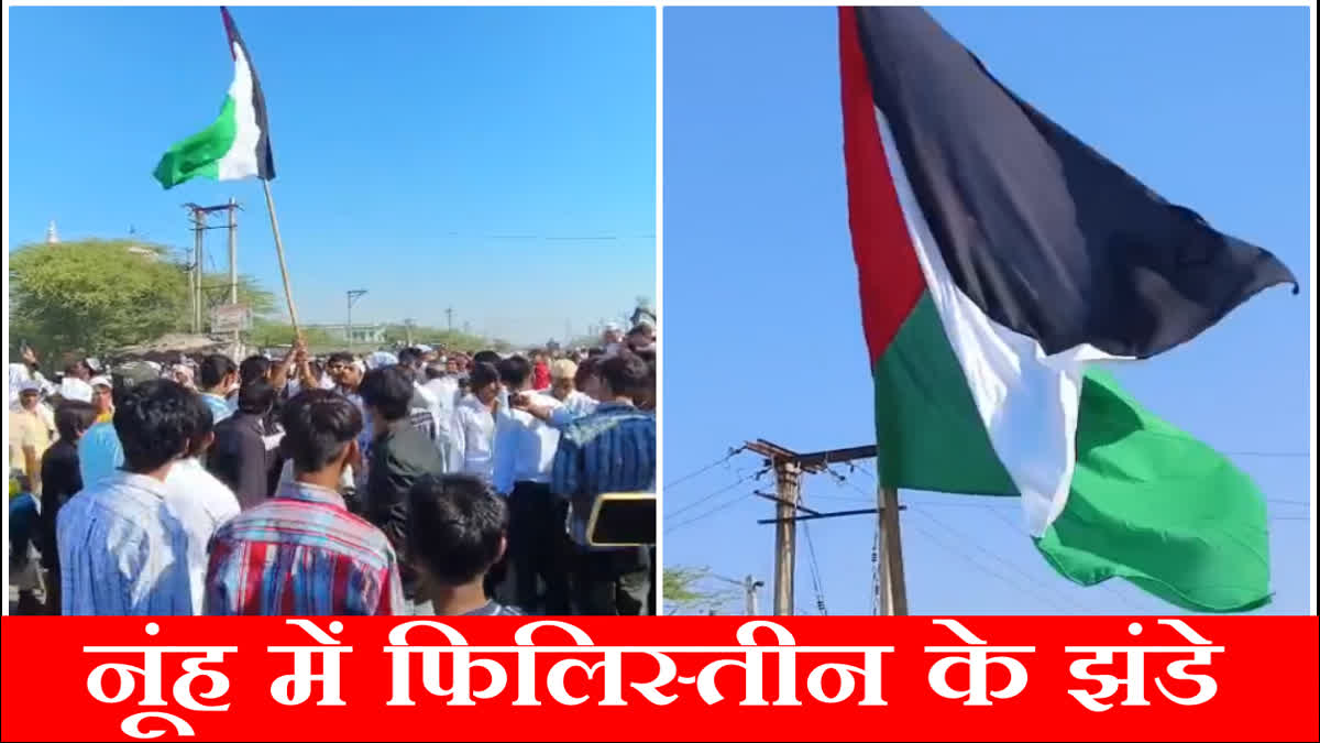 Palestine flags were waved in Nuh tricolor was also insulted case registered after video surfaced