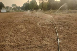SHAHDOL MOONG FARMING TIPS