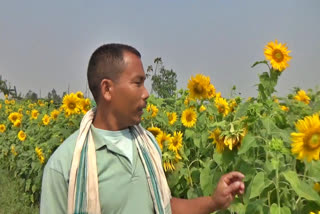 Selfreliant With Nursery
