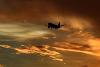 An Indian man faces multiple charges for causing a ruckus on board a Singapore-bound flight from Sydney and using criminal force against a flight attendant.