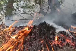 جنوبی کشمیر کے جنگلات میں آتشزدگی، سبز سونے کو شدید نقصان