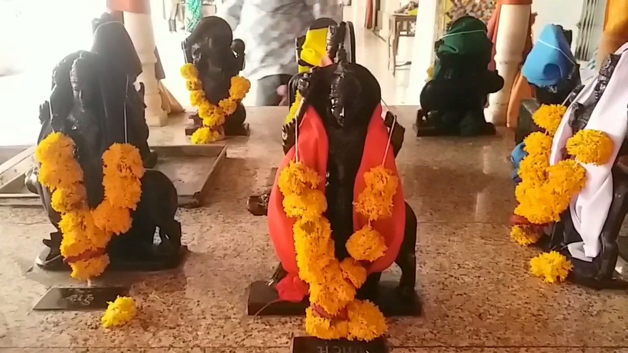 નવા વર્ષના રાજા અને મંત્રી તરીકે ગ્રહમંડળમાં સૂર્ય ફરજ બજાવશે