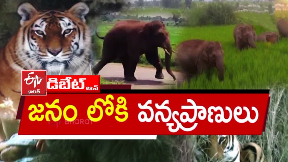 Prathidhwani Debate On Wild Animals Attack On Tribal Areas