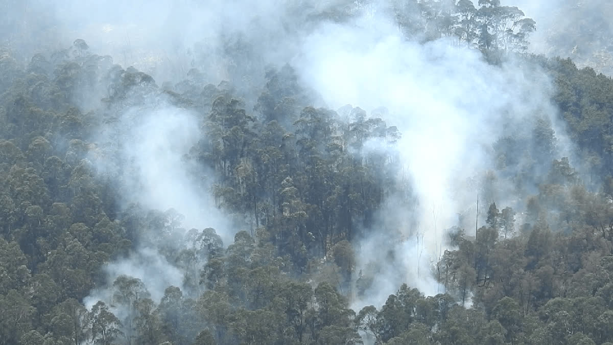 Kodaikanal Hills Fire Accident