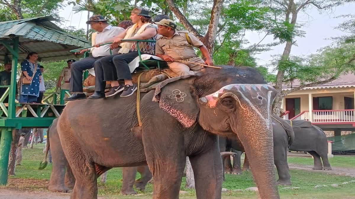 French Delegates in Gorumara National Park News