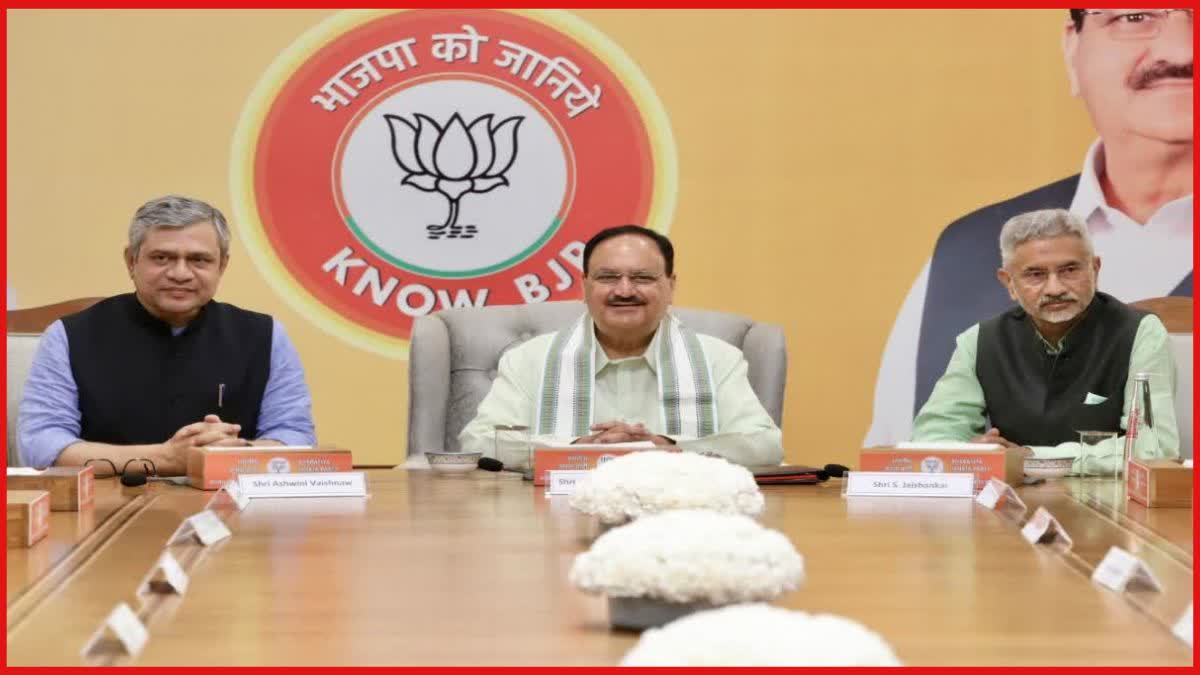 JP Nadda With Foreign Leaders