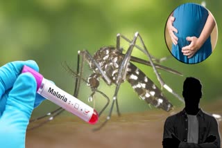 Malaria Mosquitos
