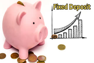 Fixed Deposits