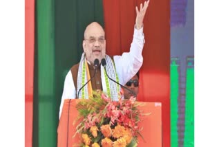 Naxalism Will be Completely Eliminated If PM Modi Elected for 3rd Time: Amit Shah