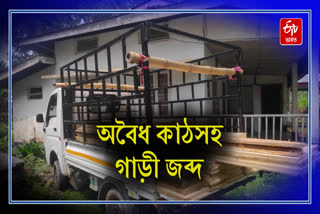 Tata Magic seized with illegal wood in Bihali