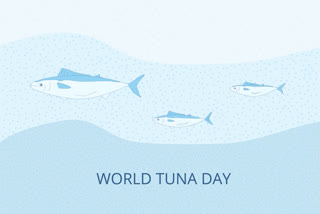 World Tuna Day - Raising Awareness of Most Popular Fish in American Diet