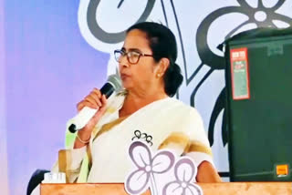 Day after the Congress had taken a swipe at Election Commission for the delay in releasing the poll figures, West Bengal Chief Minister Mamata Banerjee on Wednesday also criticised the EC for the "delay" in releasing the final voter turnout figures for the initial two phases of the Lok Sabha polls.