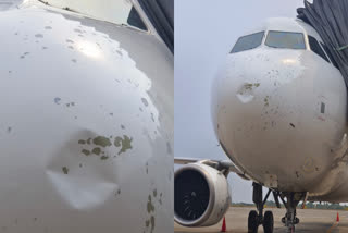 VISTARA FLIGHT EMERGENCY LANDING  HAILSTORM BHUBANESWAR  ആലിപ്പഴ വർഷം  ഭുവനേശ്വർ ഡൽഹി വിമാനം