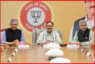 JP Nadda With Foreign Leaders