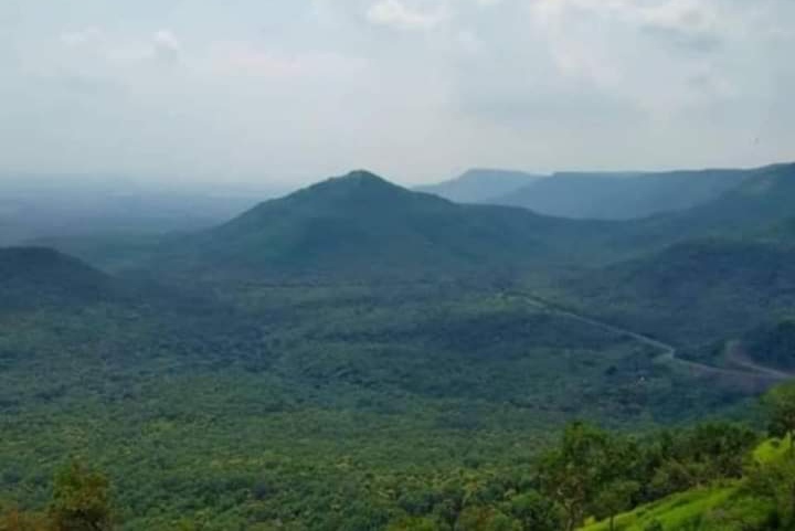 NAURADEHI WILDLIFE CORRIDOR