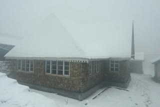 DARJEELING SNOWFALL