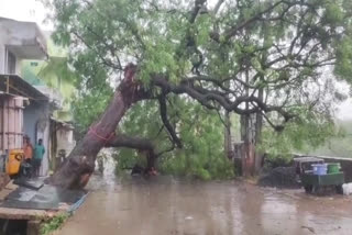 rain in andhra pradesh