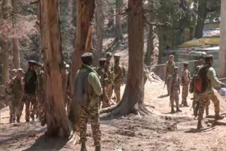 pahalgam terror attack