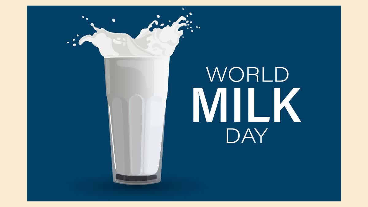 World Milk Day 2024