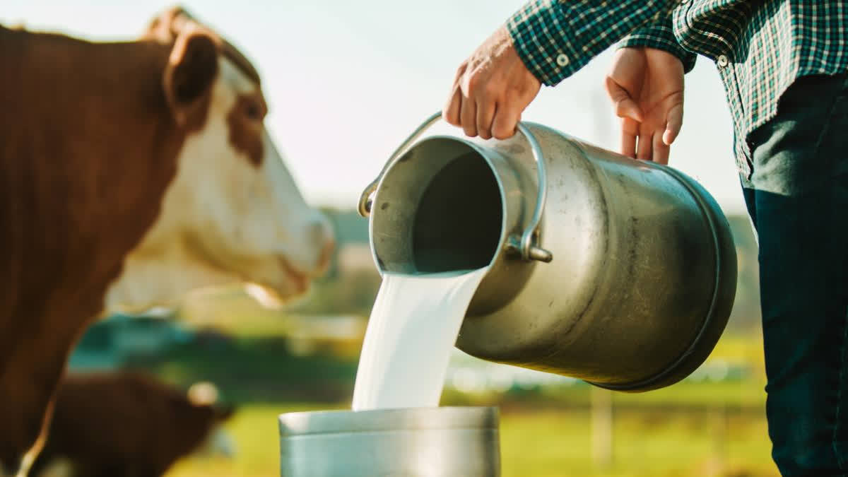 World Milk Day